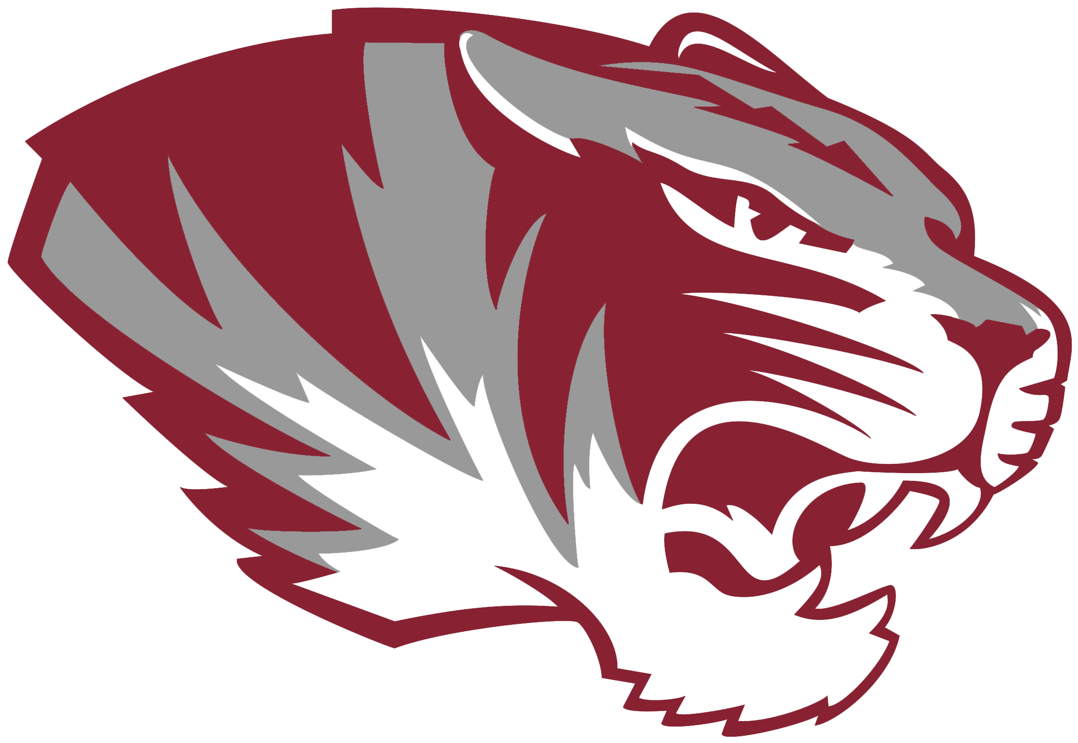 Plainfield North Activities Official Athletics Website